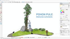 Pojon_Pule