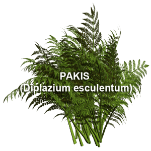 pakis01