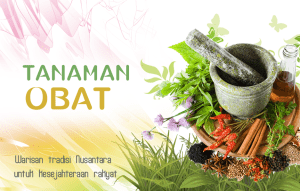tanaman_oba_herbal